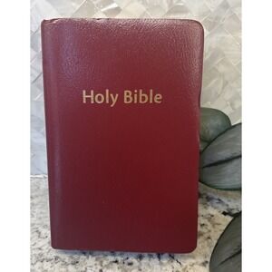 Zondervan Red Holy Bible With Helps‎ New International Version ZonderKidz